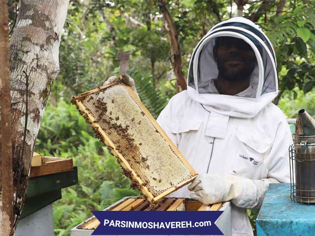 پرورش زنبور عسل در مقطع کاردانی